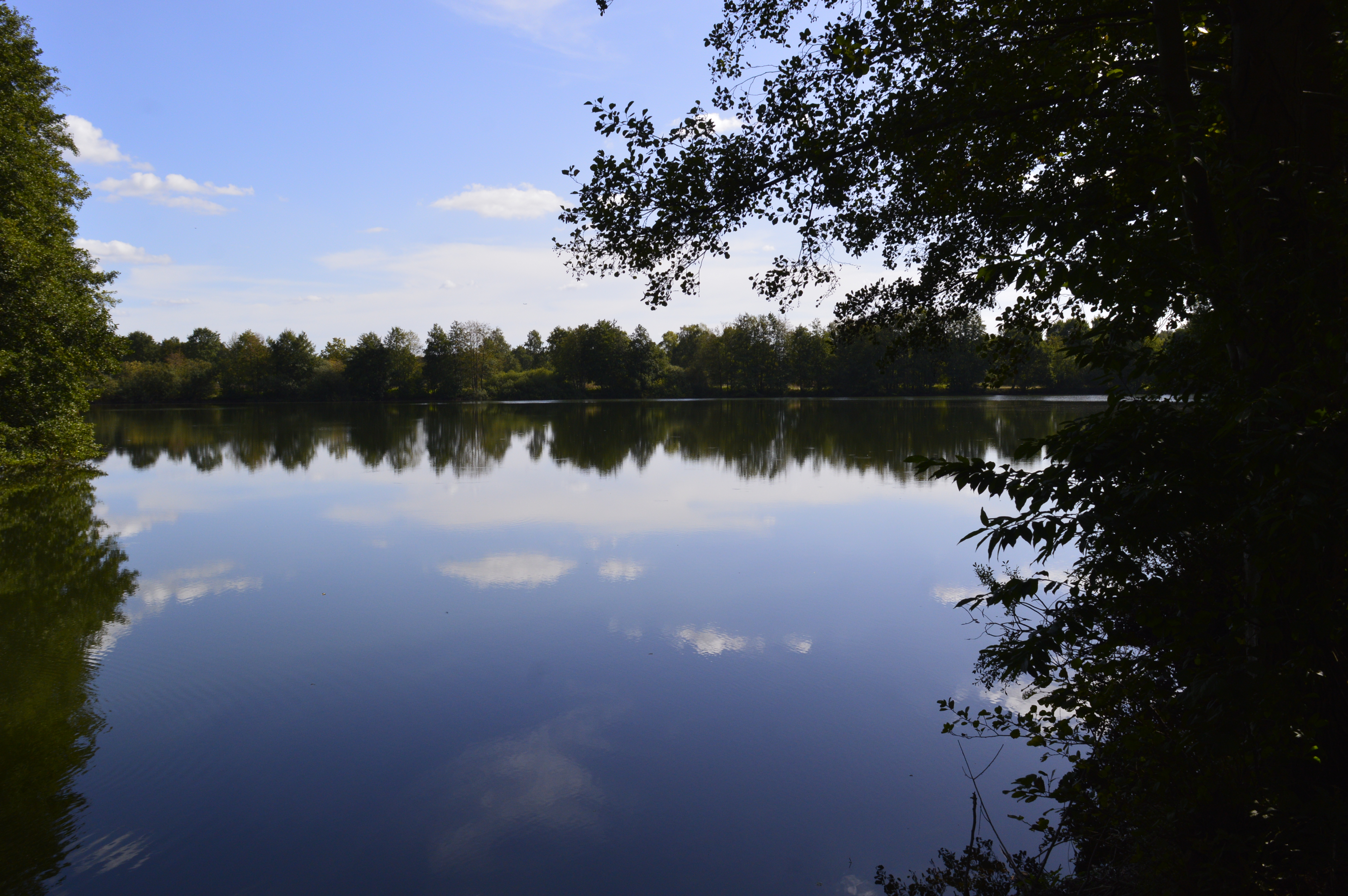 Landschaft